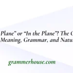 “On the Plane” or “In the Plane”